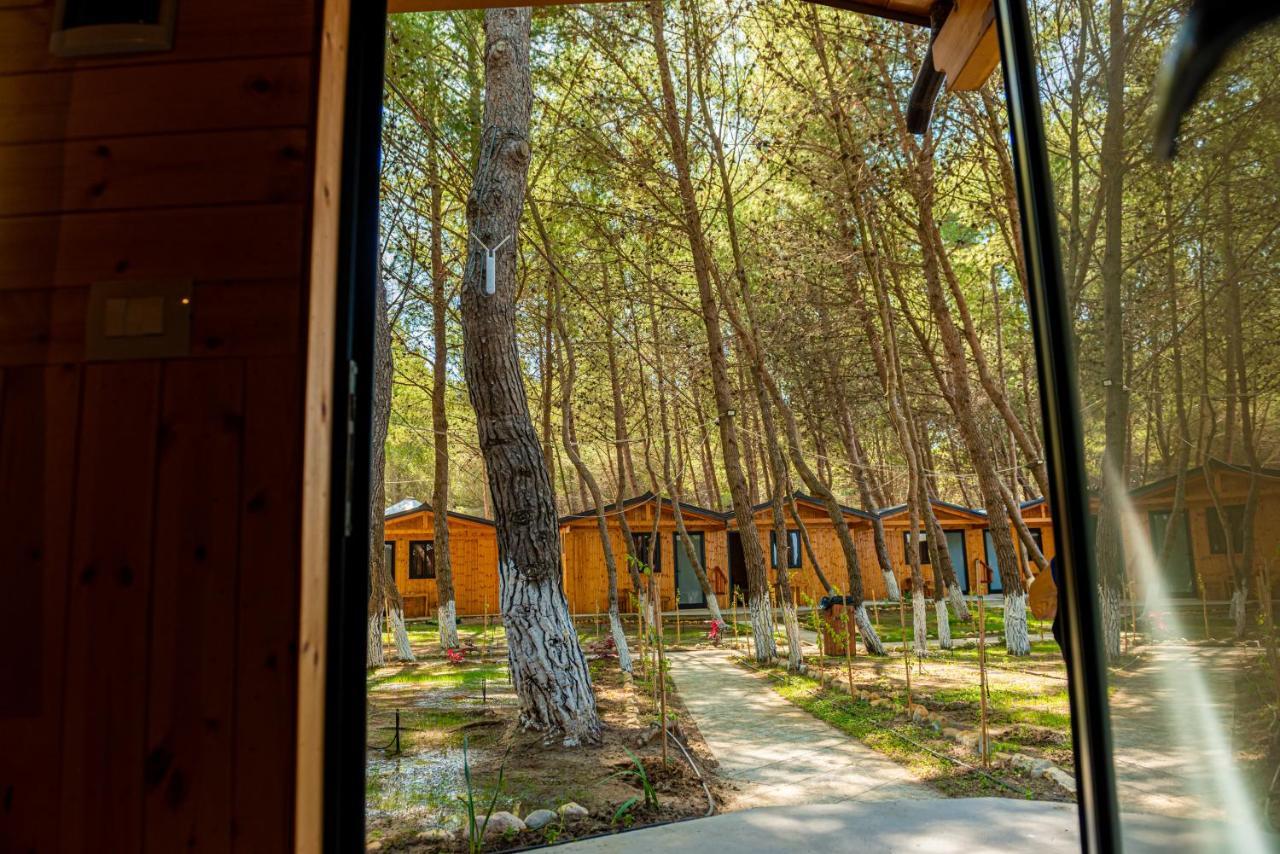 Ecuador Resort Zverneci Zewnętrze zdjęcie