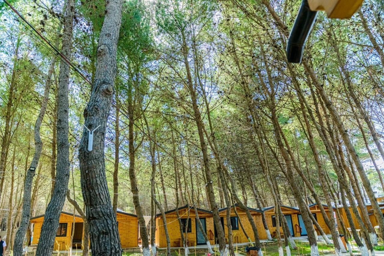 Ecuador Resort Zverneci Zewnętrze zdjęcie